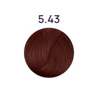 Life Color Plus 5.43
