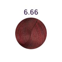 B.Life Color 6.66